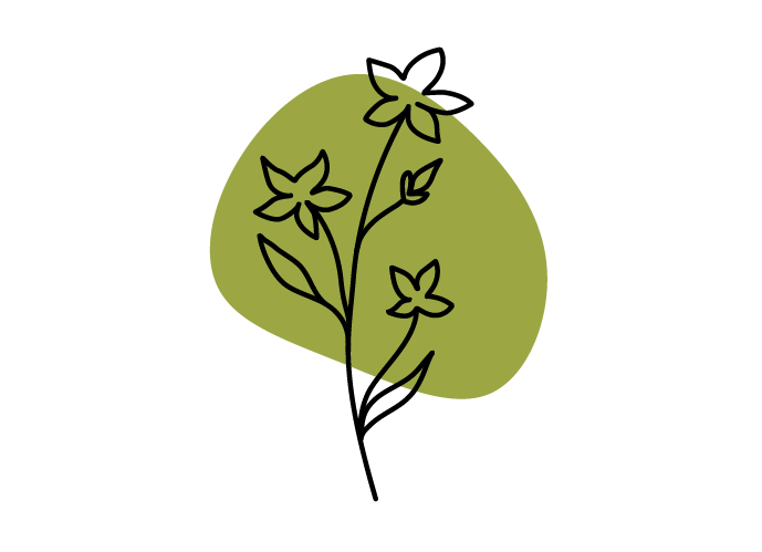 Illustration Berufserfahrungen Illustration Berufserfahrungen