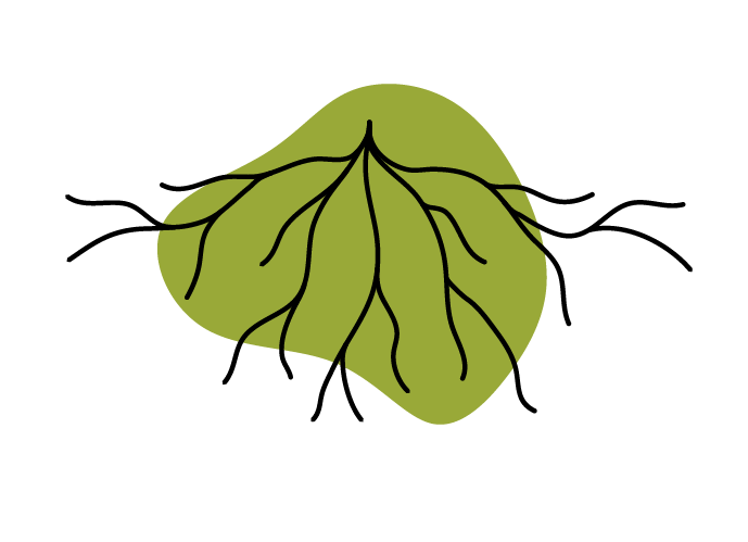 Illustration Ausbildung Illustration Ausbildung